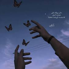 دکتر نیلوفر شاه بیگی