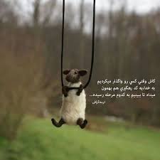 پژمان ابراهیمی
