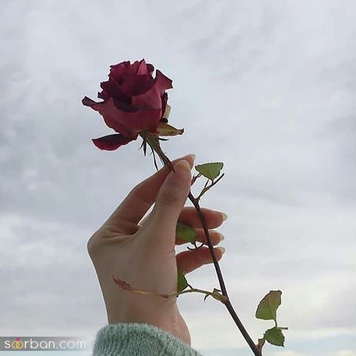 دکتر احسان بیرنگ متخصص ایمپلنت دندان