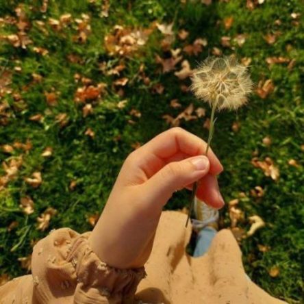 دکتر میثم آریام