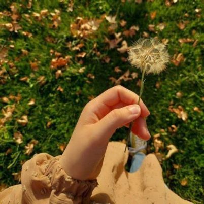 مرکز دندانپزشکی شیان
